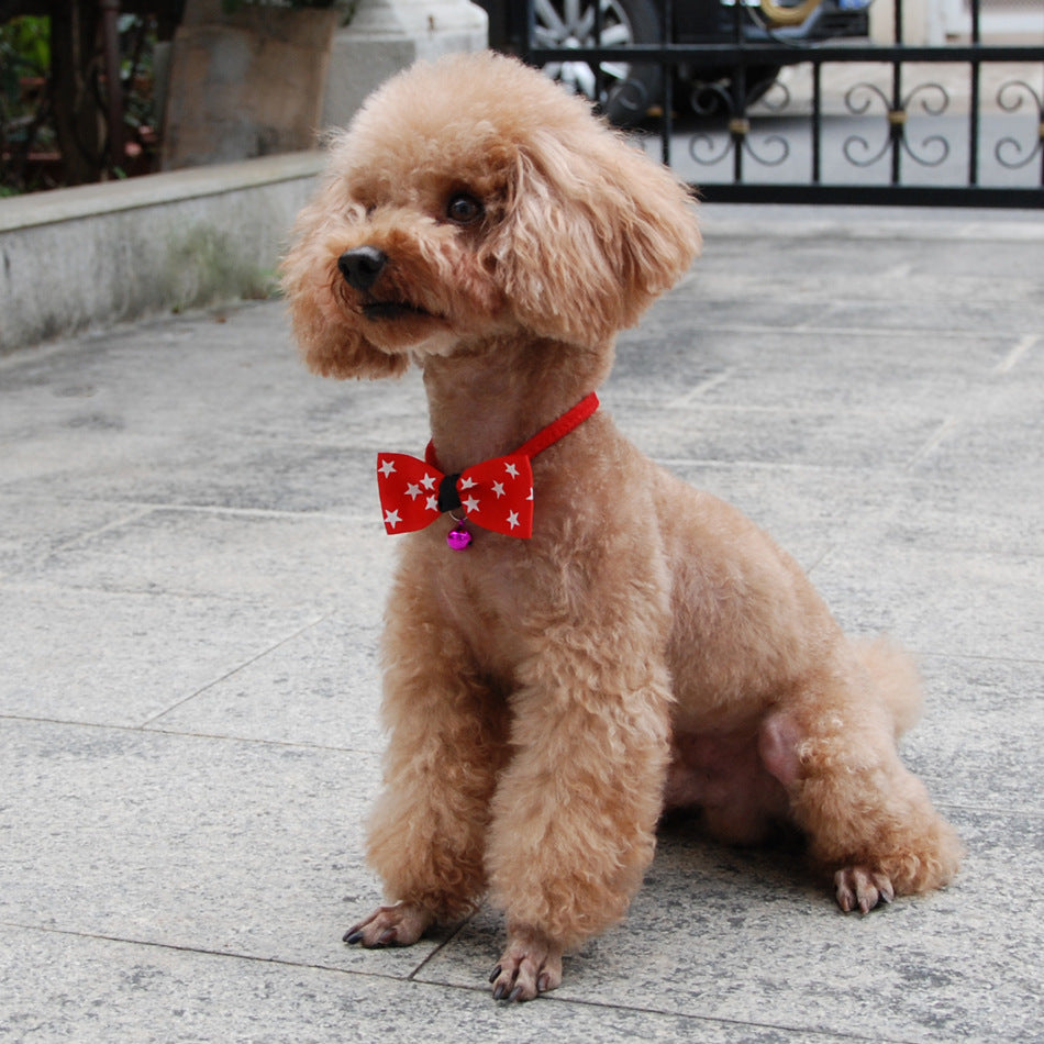 Pet accessories pet bow DAILYMAXCARE