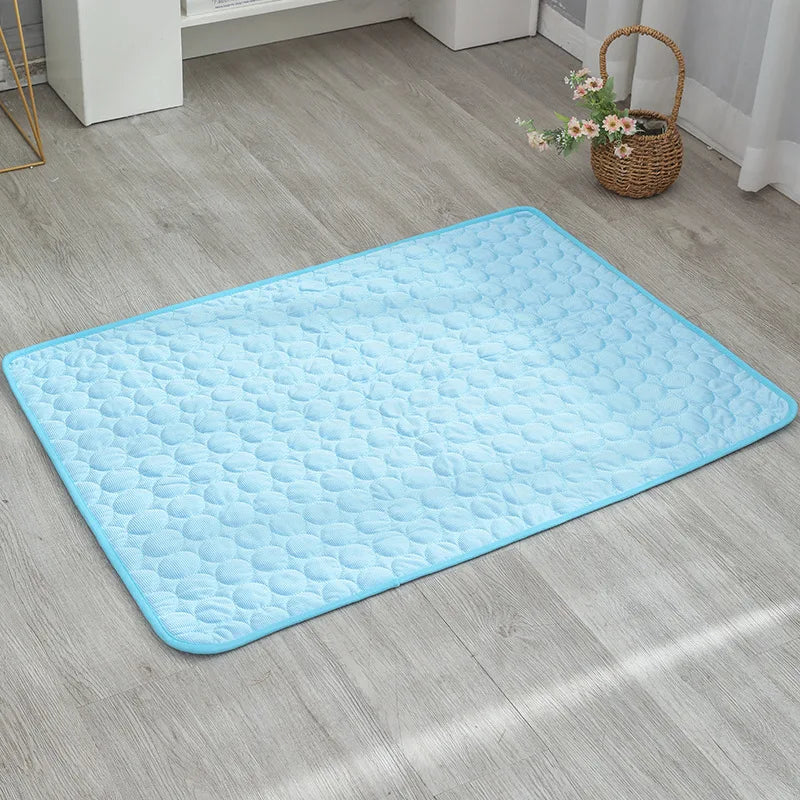 Car pet mat