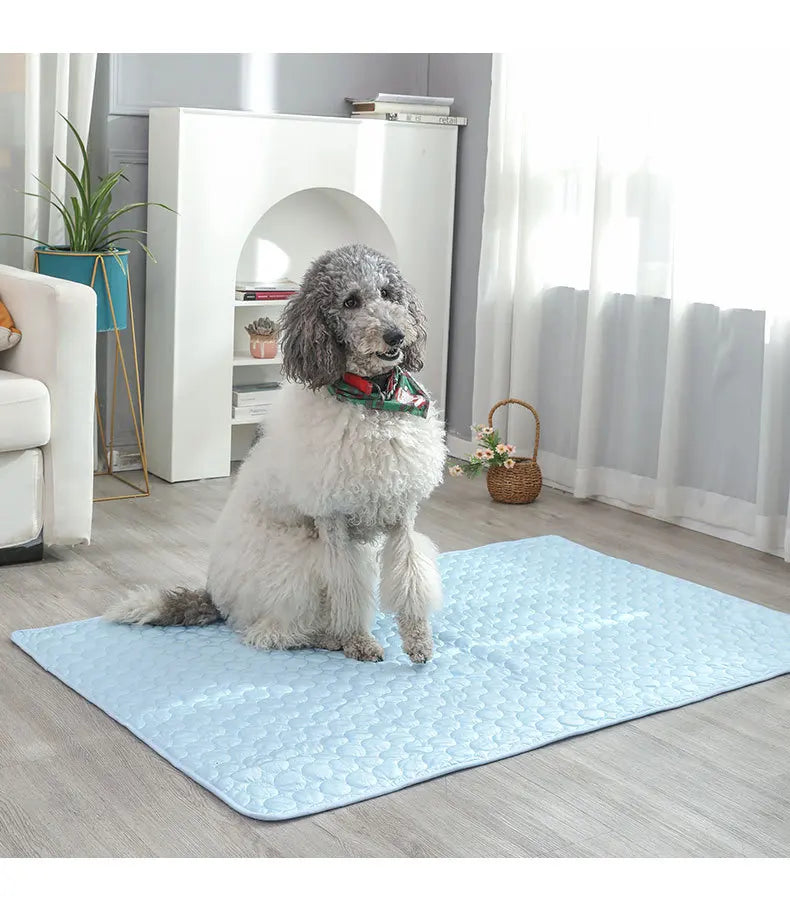 Dog door mats