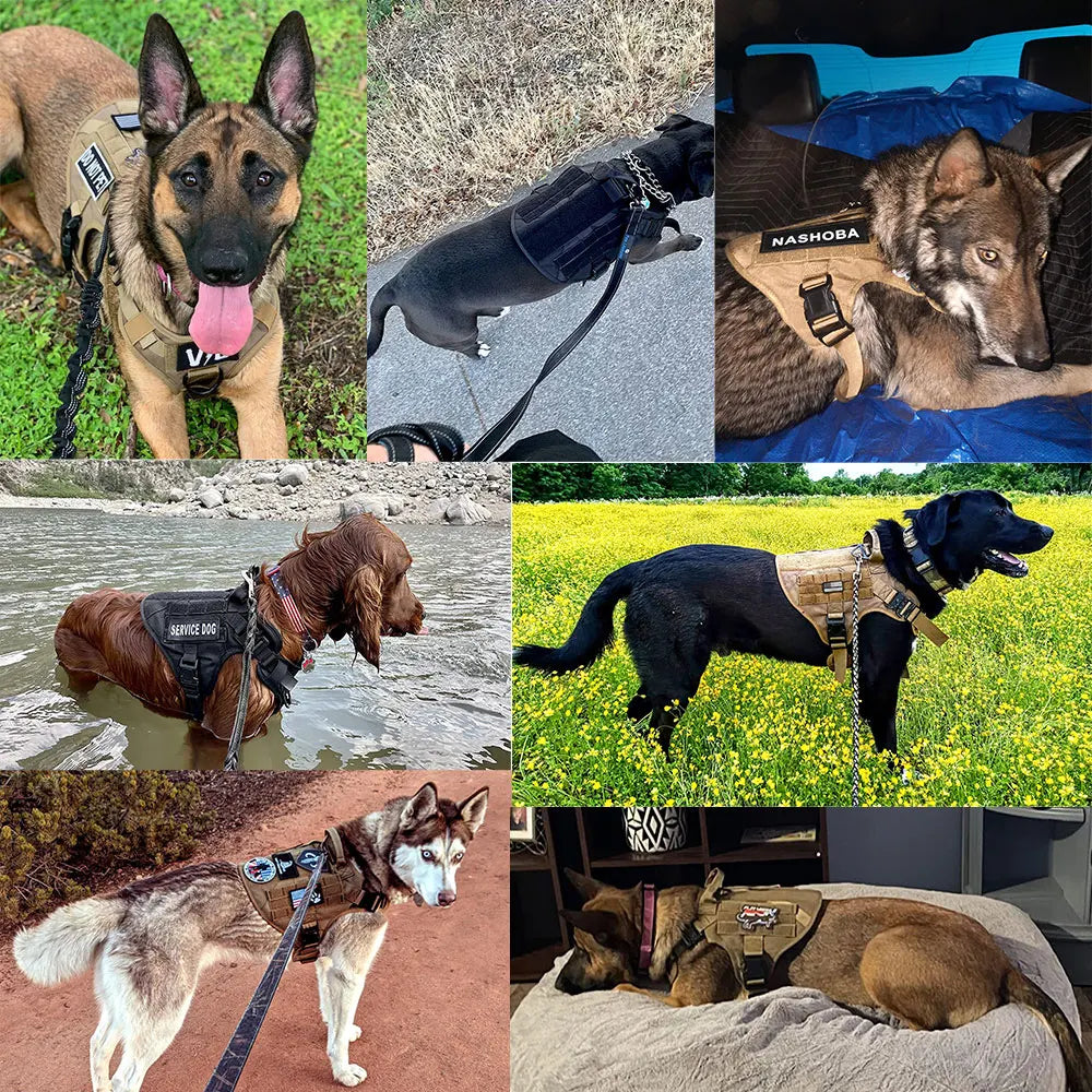 Large Dog Harness And Leash Set Pet German Shepherd Malinois Training Walking Vest Dog Harness And Collar For Medium Large Dogs Dailymaxcare