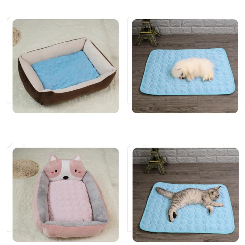 Carpet protector for pets