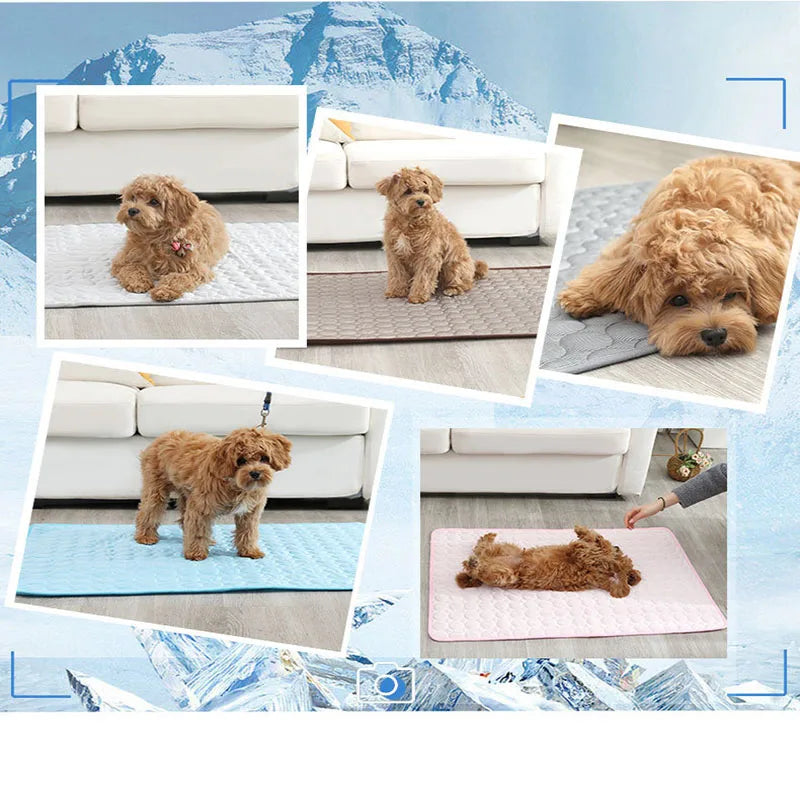 Doggie mats