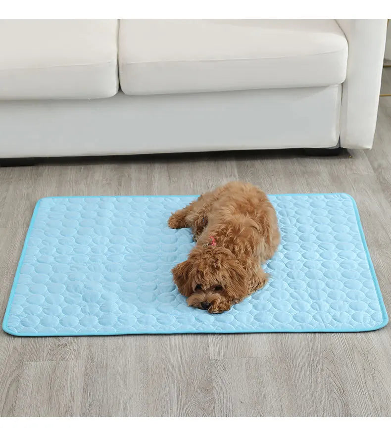 Dog carpet